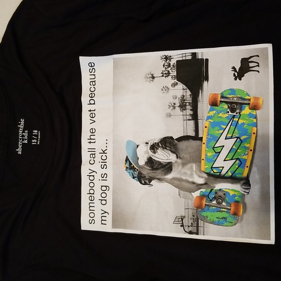 Abercrombie & Fitch Like New Long Sleeve T-shirt Sz 15/16 - Picture 3 of 3